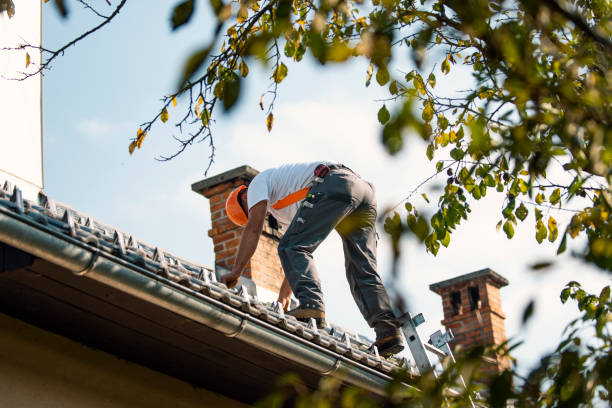 Best Residential Roofing Contractor  in Belgium, WI