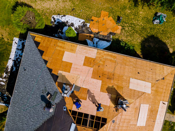Best Local Roofing Companies  in Belgium, WI