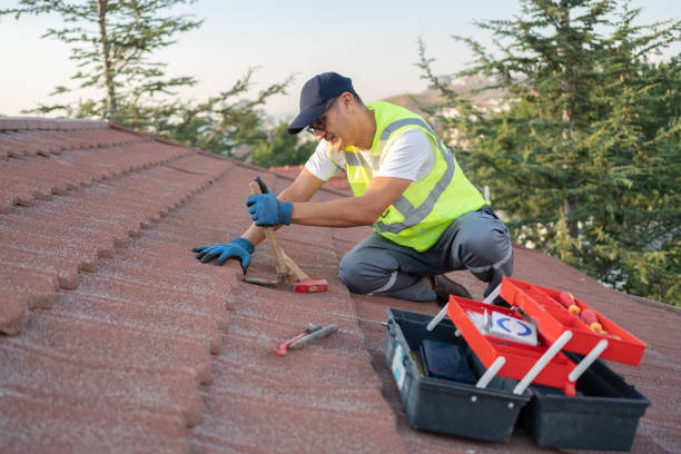 Best Commercial Roofing Services  in Belgium, WI