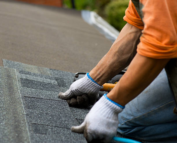 Best Emergency Roof Repair  in Belgium, WI