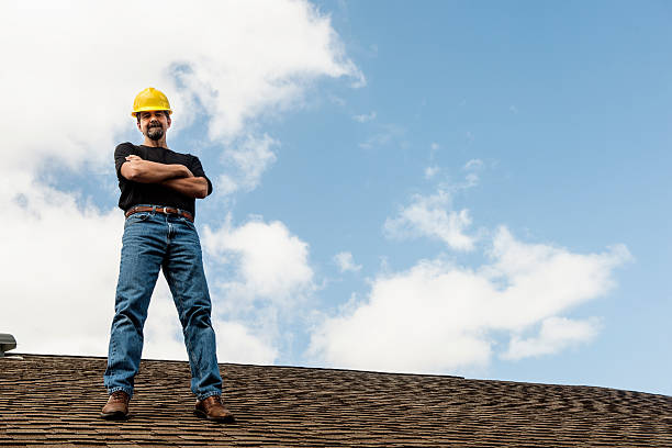 Best Metal Roofing Contractor  in Belgium, WI