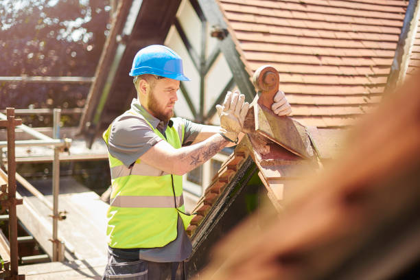 Best Roof Replacement Cost  in Belgium, WI