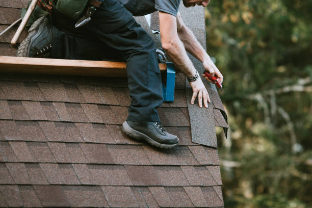 Best Gutter Installation and Roofing  in Belgium, WI